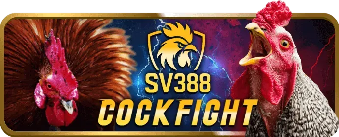 Biểu tượng chính sách cookie và quản lý dữ liệu trên jj88 bet